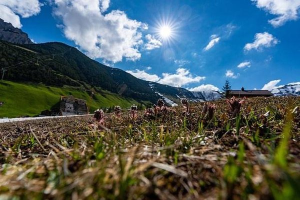 Comment économiser sur les taxes lors de l'achat d'un terrain constructible ?